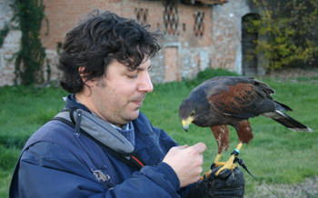 Paolo Venuleo co 'l so falco.