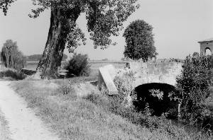 Cao de aqua e ponte al Colonbaron…