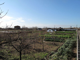 Panoramica su i orti de Marina.