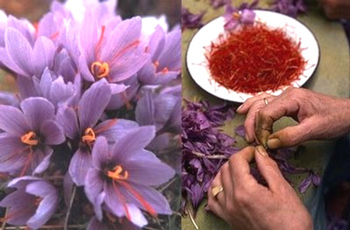 Da i fiori se cava fora sti fileti, tuto e solo a man, co tanta cura par no rónparli.