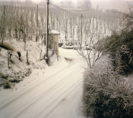 La me strada, el me capitèo: on grande prà vestìo de bianco.