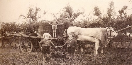 Anca i buteleti pìcoli i partecipàa a la festa. (foto Archivio storico Pro Loco di Grezzana.)