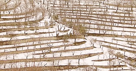 Coesto l'è ’n tòco de montesel, na òlta coltià come ’n ortesel.