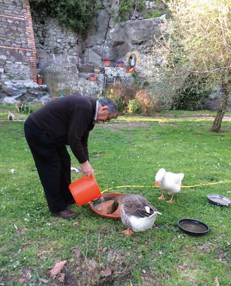 Anche al “Brandolini” el se ghea cavà fora on tòco de tera par far l’orto, tirarse sù le gaìne e anche qualche bosegatèo.