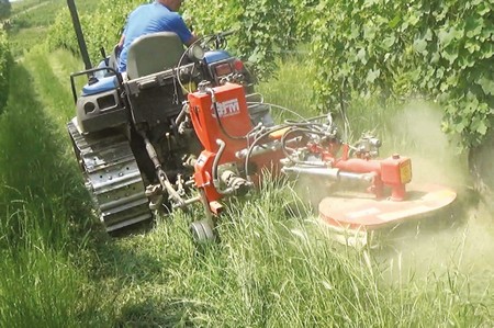 Chel’altro che el rivàa co el magnaerba l’à masenà sù tuto, conpresa la giacheta co la dentiera.