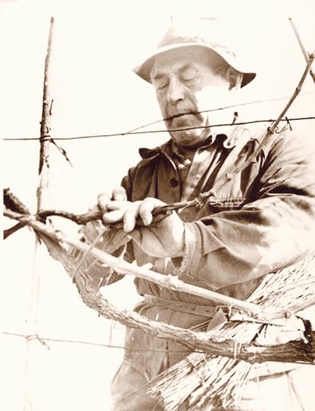 Coesto l'è ’l me amigo Tarcisio, che ’l bruscàa vigne diversi ani fà.